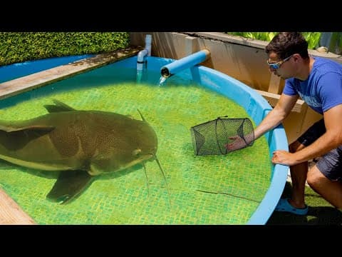 I Caught The Pond Monster In A Fish Trap...