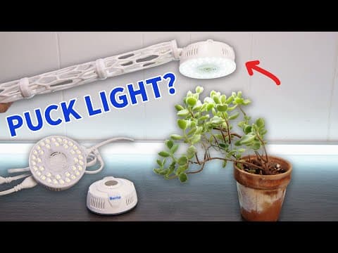Barrina Grow Light Puck First Impressions