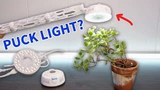 Barrina Grow Light Puck First Impressions