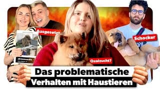 Das Verwerfliche Verhalten Großer Influencer Mit Deren Haustieren