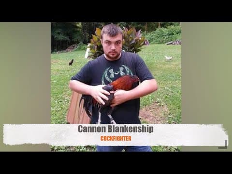 Cockfighting, Corruption In Monroe County, Tennessee