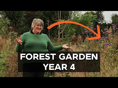 Food Forest Garden Tour | Permaculture In Practice (august 2025)