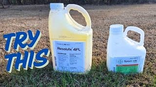 Dominate Weeds With This Application - Exact Details Explained