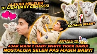 Alshad Bertemu 2 Bayi Harimau Putih ! Langsung Teringat Selen Pas Kecil ! Sangat Menggemaskan Tapi..