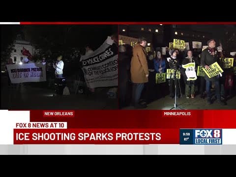 Former I.c.e. Agent Weighs In On Minneapolis Shooting