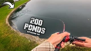 I Don't Know Why This Lure Works So Well...