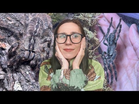 Tricky Double Ghost Ornamental Tarantula - Poecilotheria Vittata Rehousing!!