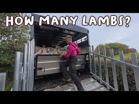 First Time Out With The New Livestock Trailer.