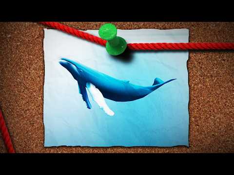 The Future Of Climate Denial