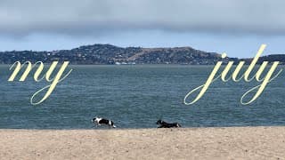 Turning 23, A Weekend In Sf, Sweet Summer Moments