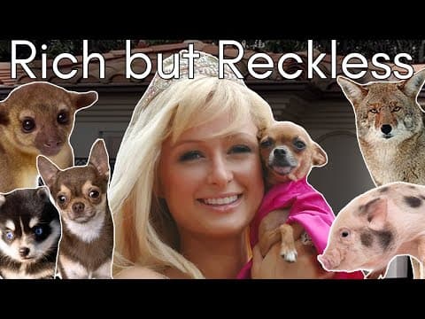 Paris Hilton’s Pets: The Tragic Truth Of Pets Treated Like Props (hollywood Animal Hoarding)