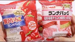 🍓strawberry Lunch Pack Japanese Sweet Sandwich Yamazaki Myroti