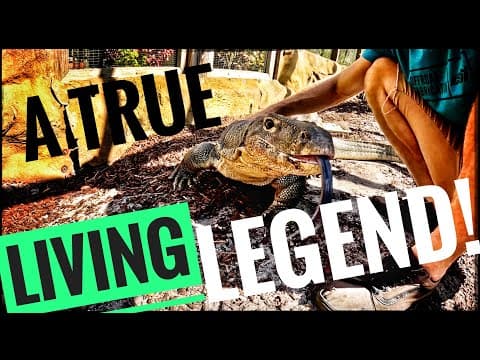 How Much Time Does Slinky Have?