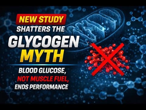 New Study Shatters The Glycogen Myth: Why Blood Glucose, Not Muscle Fuel, Ends Performance