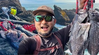 Rockfish Limit From Shore | Catch And Cook For Dogs