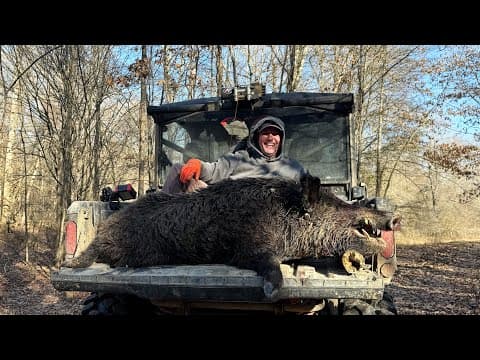 Biggest Cutters On A Hog In The Mud Hole.