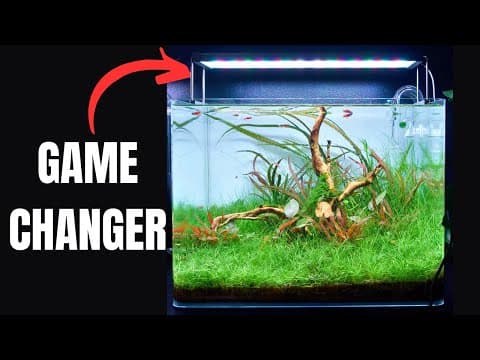 A Smart Led Light That Makes Growing Aquatic Plants Easier?