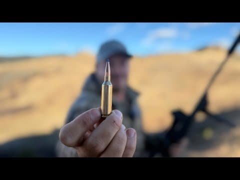 Is The 6.5 Prc The Perfect Do-it-all Cartridge?