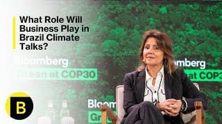 What Role Will Business Play In Brazil Climate Talks?