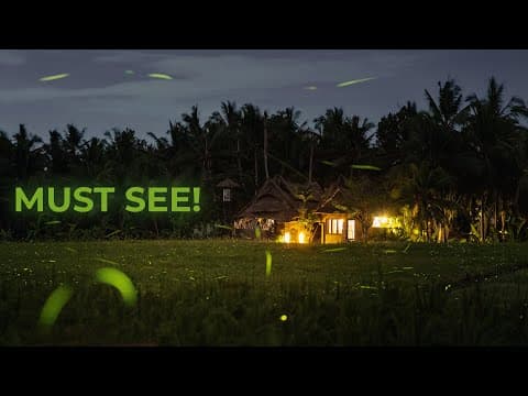 Photographing Fireflies In Ubud, Bali (fujifilm X100v)
