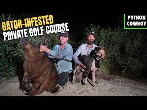 Hog Hunting A Private Florida Golf Course Surrounded By Gators