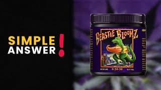 Can You Use 'beastie Bloomz' Outdoors?