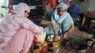 कब तक फरमाइश पूरी करें इनकी || Pal Family Vlogs