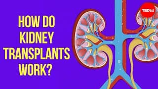 How Does Kidney Transplant Surgery Work? - Alexander H. Toledo
