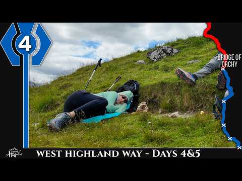 My First Wild Haggis Encounter (west Highland Way 2024)