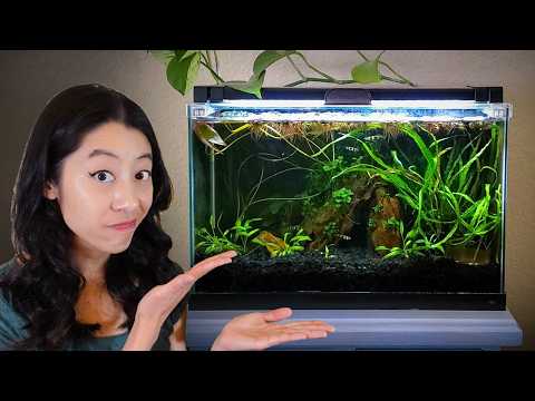 Why I Broke Down My 5-gallon Planted Tank