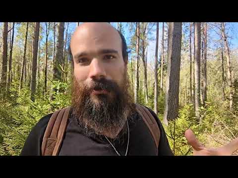 You Are The Dead Internet.