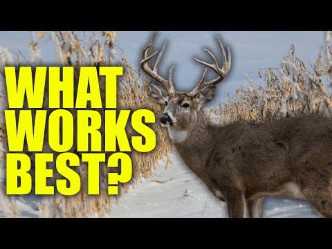 Hunting Late Season Food Sources With Don Higgins: The Time Is Now