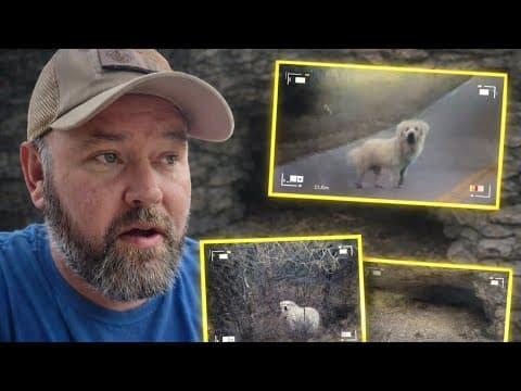 I Knew It… I Caught Them All!