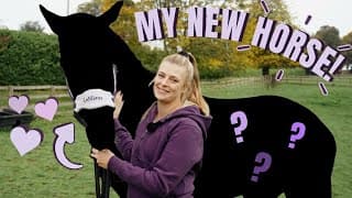 Meet My New Horse!!! 🐴