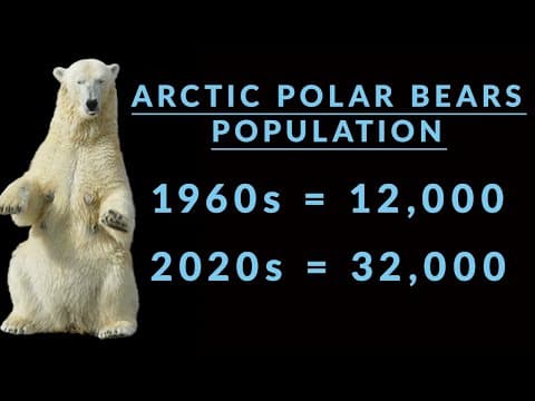 Climate Change For The Birdwatchers