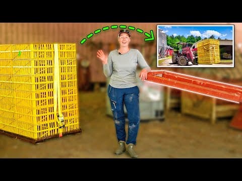 Farmers’ Secret To Boosting Chicken Catching Speed And Saving Hours!