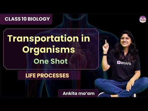 Complete Transportation In One Shot | Life Processes-l4| Class 10 Science| Cbse Boards 2025