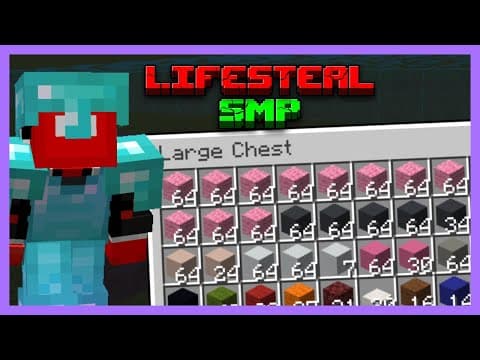 Preparing For My First Lifesteal Project