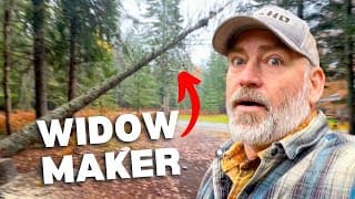 Removing A Dangerous Dead Tree