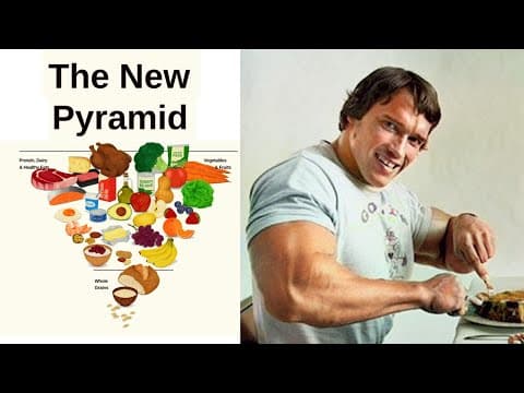 The New Food Pyramid: What Bodybuilders Knew Long Before Nutrition Policy #bodybuilding #nutrition
