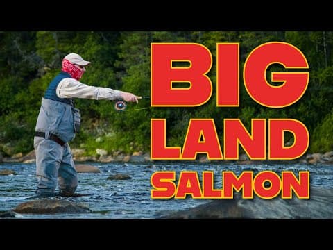 Salmon Of The Big Land