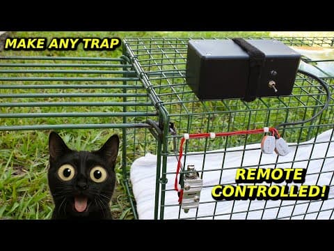 Diy Remote Control Triggered Animal Trap ~ Cat & Kitten Tnr