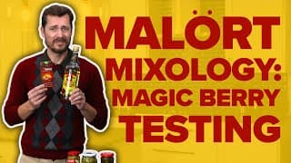 Malört Mixology: Magic Berry Tasting