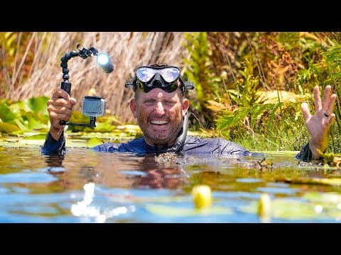 Swimming In The Sanctuary With 1,000,000's New Fish!!!