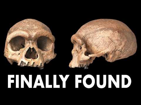 We Finally Found A Denisovan Skull!