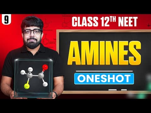 Amines In One Shot | All Concept & Pyq | Basic To Advanced | Class 12 Neet