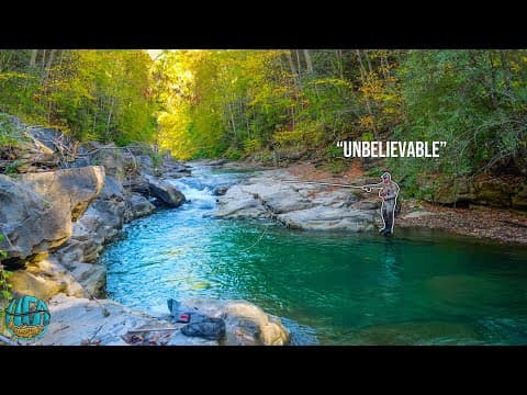 My Craziest Brown Trout Catch Ever! (fly Fishing For Big Trout)