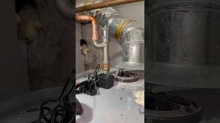 Suspicious customers are out there making pasta with tank water. That’s not al dente it’s corrodente