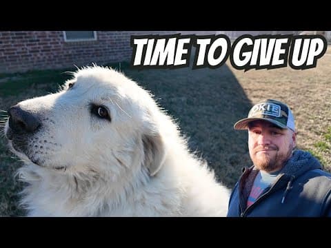 He's Gone I Can't Find Him Anywhere