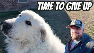 He's Gone I Can't Find Him Anywhere